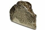 Free-Standing, Petoskey Stone (Fossil Coral) Section - Michigan #356982-2